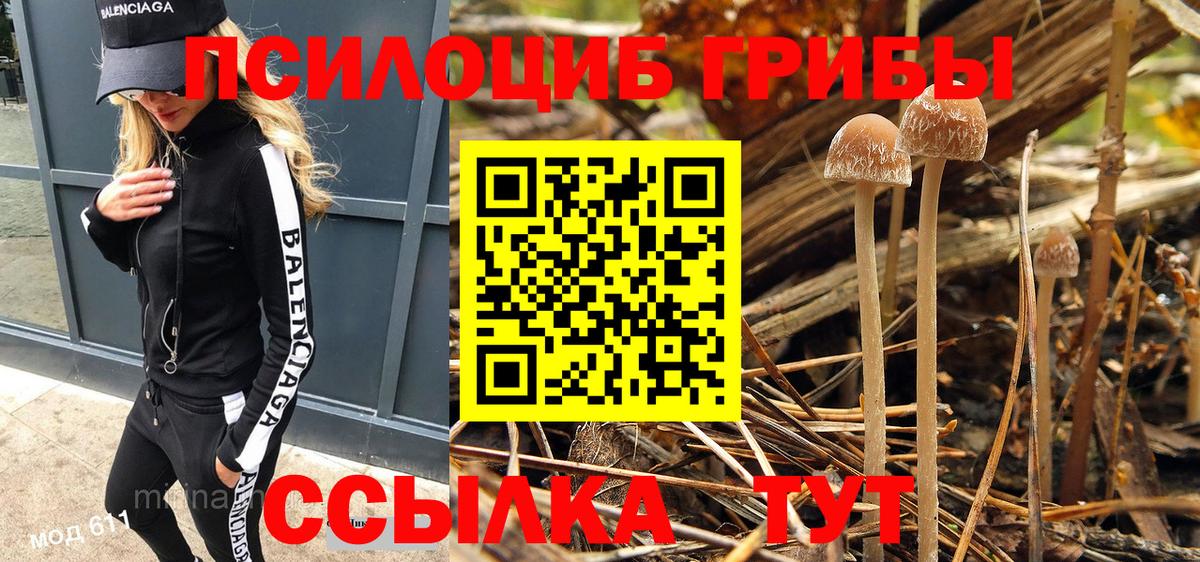 Псилоцибиновые грибы прущие грибы  Вход с VPN  Лыткарино  Галлюциногенные грибы мицелий 