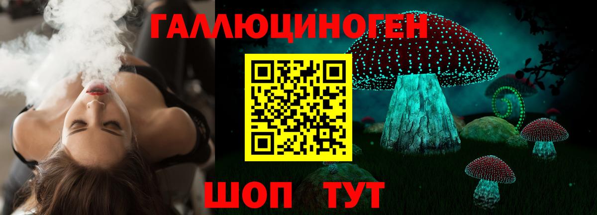 Псилоцибиновые грибы Cubensis Лыткарино
